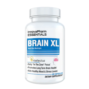 Brain XL