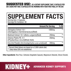 Kidney+ // Advanced Kidney Support